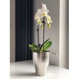 Picture of 31.120.18 Posuda okruglog oblika - srebrna