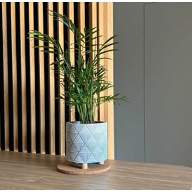 Slika 05.187.14 Posuda okruglog oblika sa drvenim nogama