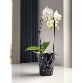 Slika 02.693.14 Posuda okruglog oblika - crna