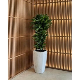 Slika 01.514. 57/61 Set od dvije posude četvrtastog oblika - bijeli mramor