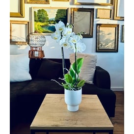 Slika 15.019.13 Posuda kružnog oblika - bijela