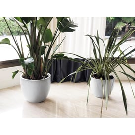 Slika 28.028.41 Velika posuda okruglog oblika sa podlogom - krem