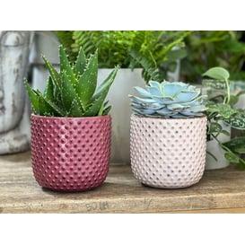 Slika 05.279.14 Posuda okruglog oblika - roza