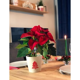 Slika 71.061.14 Posuda okruglog oblika - bronca