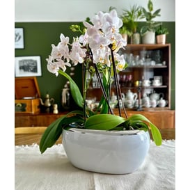 Picture of 31.049.27 Posuda ovalnog oblika - bijela/srebrna