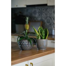 Slika VINTAGE 05.336.14