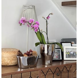 Slika 31.040.18 Posuda okruglog oblika - srebrna