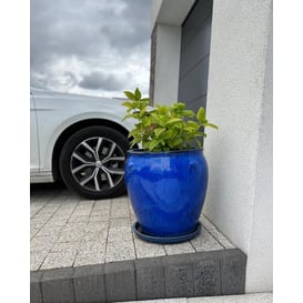 Picture of 75.451.32 Podloga za posudu - kobalt