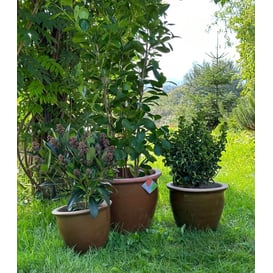 Slika 79.302. 27/31/38 Set od tri posude - boja meda