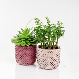 Slika 05.278.14 Posuda okruglog oblika - svijetlo roza