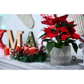 Picture of 35.069.14 Set posuda okruglog oblika