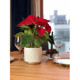 Picture of 05.249.14 Posuda u obliku cilindra - srebrna