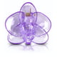 Picture of 50.601.05 Klip za orhideje - ljubičasta