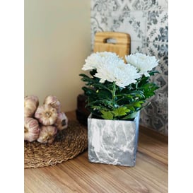 Slika 02.754.13 Posuda četvrtastog oblika - mramorno crna