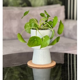 Slika 02.744.22 Posuda u obliku kaleža - siva