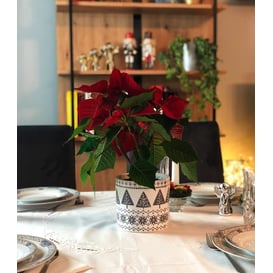 Picture of 35.069.14 Set posuda okruglog oblika