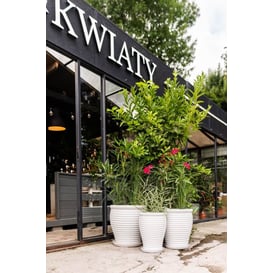 Slika 01.509. 43/47/51 (A) Set od tri posude okruglog oblika sa podlogom - bijela