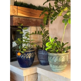 Picture of 79.012.25/30/37 Set od tri posude - zelena