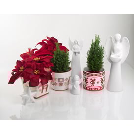 Slika 39.031.15 Posuda čeztvrtastog oblika