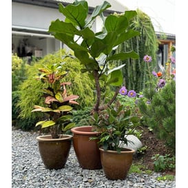 Slika 79.302. 27/31/38 Set od tri posude - boja meda