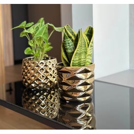 Slika 02.628.15 Posuda okruglog oblika - zlatna