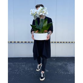 Slika 05.259.26 Posuda ovalnog oblika - bijela