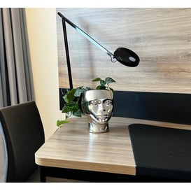 Slika 04.097.20 Posuda u obliku glave - srebrna