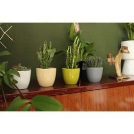 Slika 71.023.07 Posuda četvrtastog oblika - krem