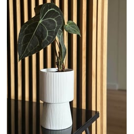 Slika 02.742.22 Posuda u obliku kaleža - bijela