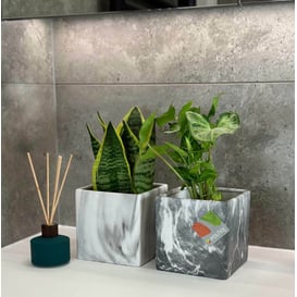 Slika 02.754.13 Posuda četvrtastog oblika - mramorno crna