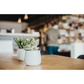 Slika 08.101.15 Posuda okruglog oblika - bijela