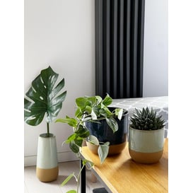 Slika 31.143.27 Vaza - menta