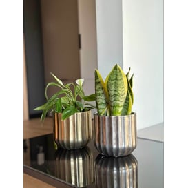 Slika 05.361.14 Posuda okruglog oblika  - staro srebro