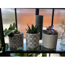 Picture of 35.059.14 Posuda okruglog oblika - MIX uzoraka