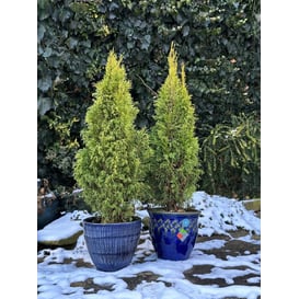 Picture of 79.011.25/30/37 Set od tri posude - plava