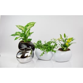 Picture of 31.035.22 Posuda ovalnog oblika - crna