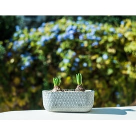 Slika 46.004.25 Posuda duga ovalna - siva