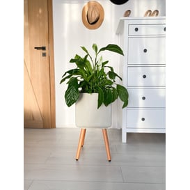 Slika 88.049.30 Velika posuda četvrtastog oblika sa drvenim nogama