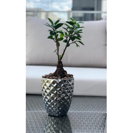 Slika 01.012.14 Posuda okruglog oblika - srebrna