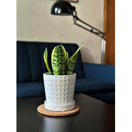 Slika 15.015.15 Posuda okruglog oblika sa podmetačem - bijela