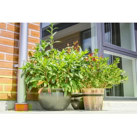 Picture of 75.424.38 Niska posuda okruglog oblika - antracit