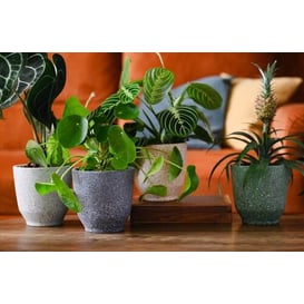 Slika VINTAGE 05.348.14 