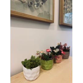 Slika 15.003.12 Posuda okruglog oblika - zelena