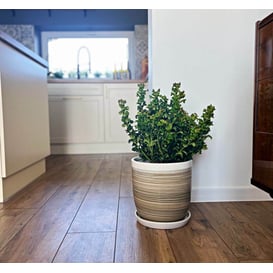 Slika 01.521. 18/22/26 Set od tri posude okruglog oblika sa podlogom - smeđa/maslinasta/bijela