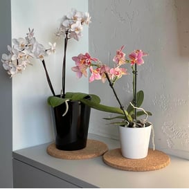 Slika 71.081.13 Posuda okruglog oblika - crna