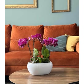 Slika 31.022.27 Posuda ovalnog oblika - bijela