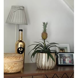 Slika 05.295.16 Posuda okruglog oblika - zlatna