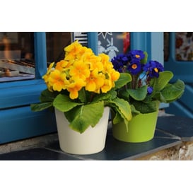 Picture of 71.042.13 Posuda okruglog oblika - zelena