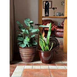 Slika 79.307. 27/31/38 Set od tri posude - smeđa