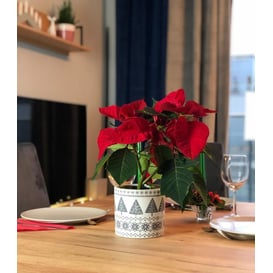 Picture of 35.069.14 Set posuda okruglog oblika